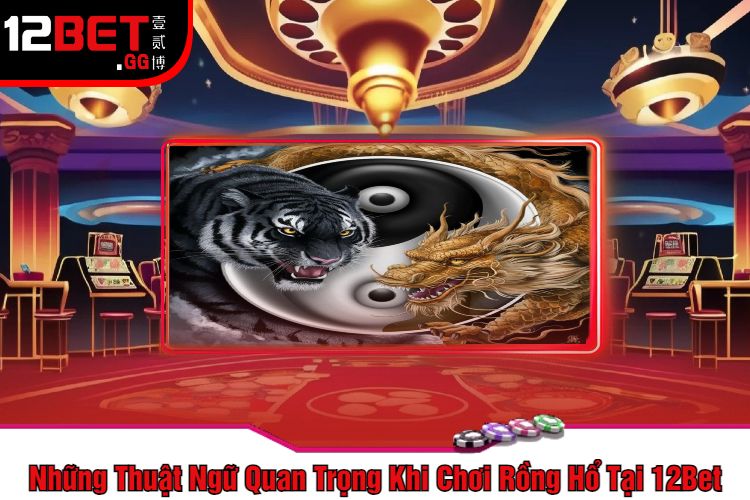 Những Thuật Ngữ Quan Trọng Khi Chơi Rồng Hổ Tại 12Bet